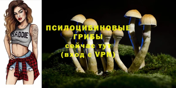 ешки Абинск