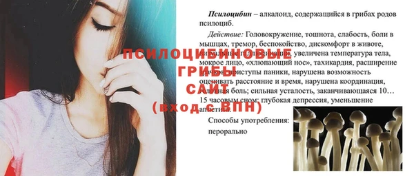 гидра Алексеевка