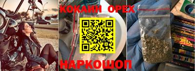 бошки Тара