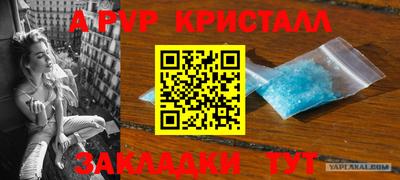 бошки Тара