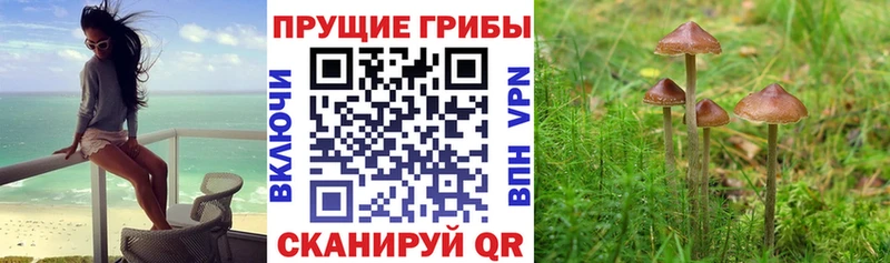 купить наркотики цена  Нефтеюганск  Псилоцибиновые грибы Magic Shrooms 