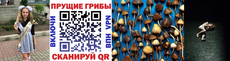 Галлюциногенные грибы прущие грибы Нефтеюганск